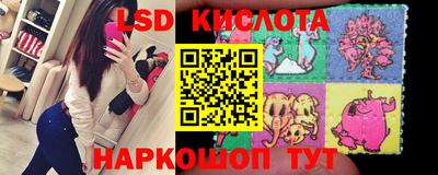 спиды Заводоуковск