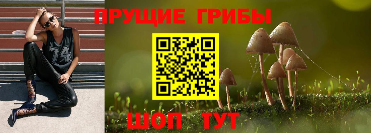 Псилоцибиновые грибы прущие грибы  Псилоцибиновые грибы GOLDEN TEACHER  Вход с VPN  Ливны 